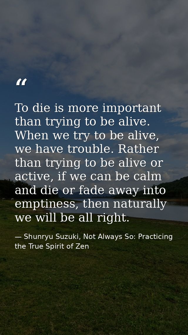 To die is more important than trying to be alive. When we try to be alive, we have trouble. Rather than trying to be ali — Shunryu Suzuki, Not Always So: Practicing the True Spirit of Zen