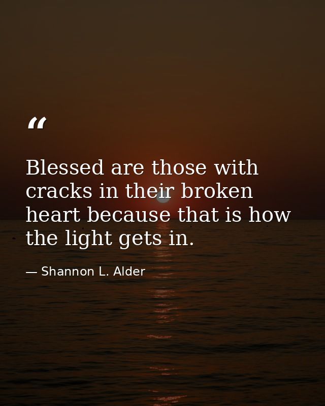Blessed are those with cracks in their broken heart because that is how the light gets in. — Shannon L. Alder