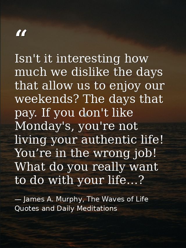 Isn't it interesting how much we dislike the days that allow us to enjoy our weekends? The days that pay. If you don't l — James A. Murphy, The Waves of Life Quotes and Daily Meditations