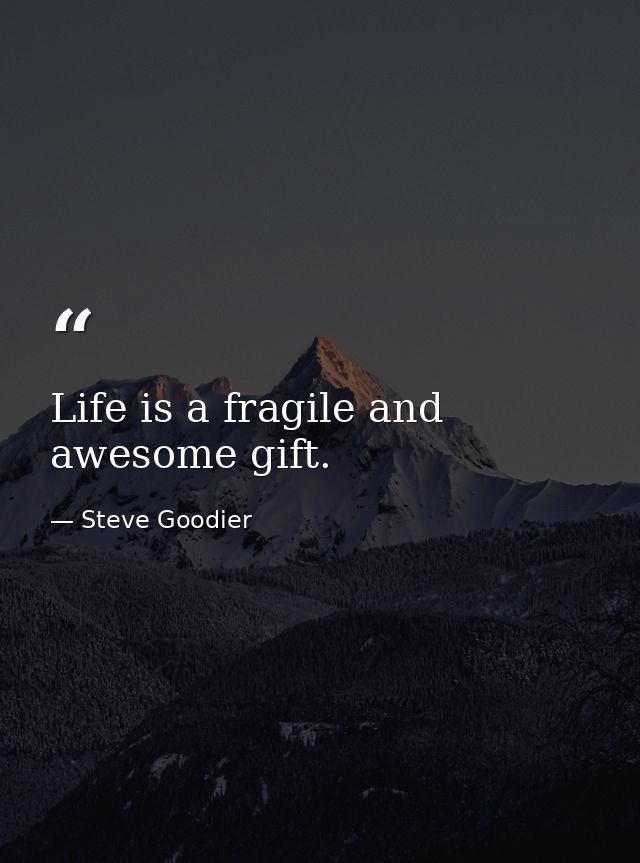 Life is a fragile and awesome gift. — Steve Goodier