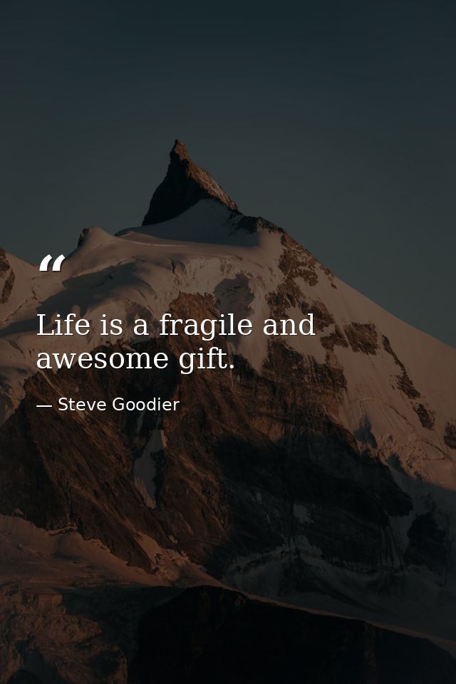 Life is a fragile and awesome gift. — Steve Goodier