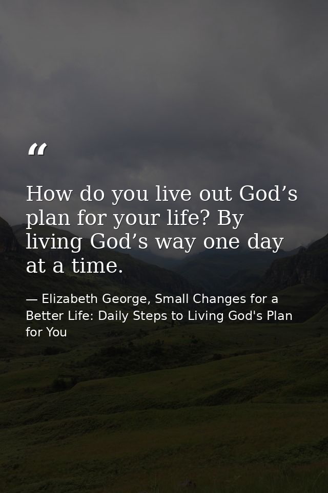 How do you live out God’s plan for your life? By living God’s way one day at a time. — Elizabeth George, Small Changes for a Better Life: Daily Steps to Living God's Plan for You
