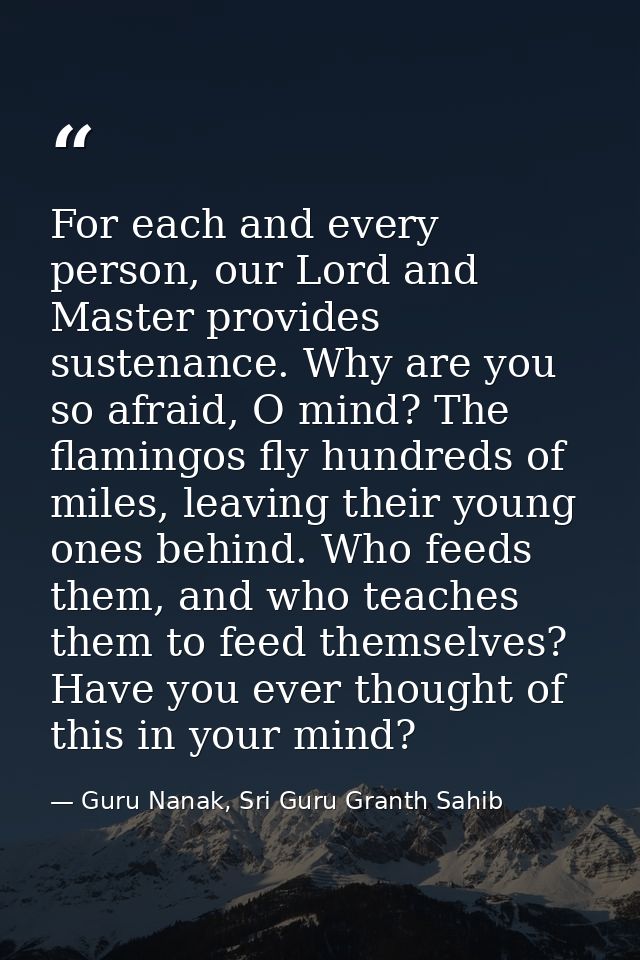 For each and every person, our Lord and Master provides sustenance. Why are you so afraid, O mind? The flamingos fly hun — Guru Nanak, Sri Guru Granth Sahib