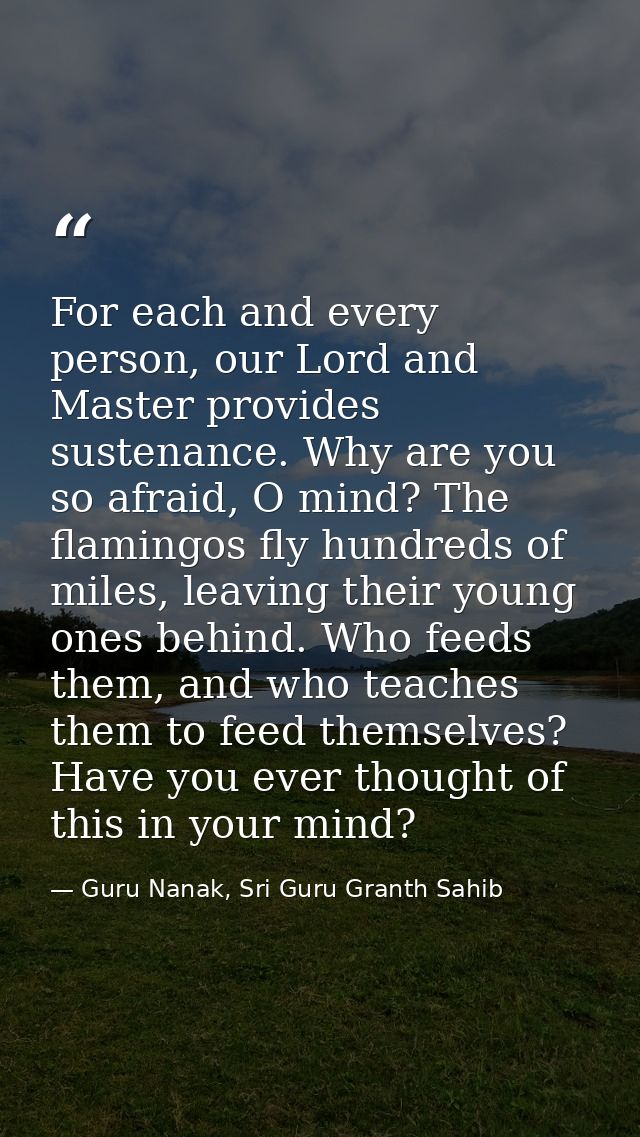 For each and every person, our Lord and Master provides sustenance. Why are you so afraid, O mind? The flamingos fly hun — Guru Nanak, Sri Guru Granth Sahib