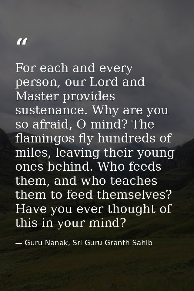 For each and every person, our Lord and Master provides sustenance. Why are you so afraid, O mind? The flamingos fly hun — Guru Nanak, Sri Guru Granth Sahib