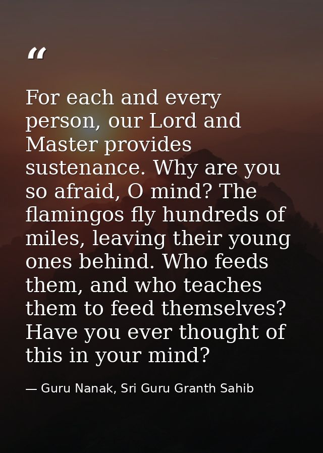 For each and every person, our Lord and Master provides sustenance. Why are you so afraid, O mind? The flamingos fly hun — Guru Nanak, Sri Guru Granth Sahib