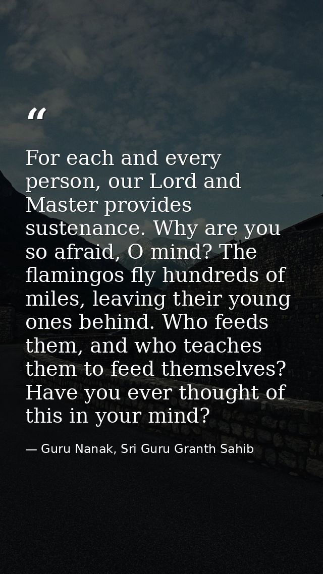 For each and every person, our Lord and Master provides sustenance. Why are you so afraid, O mind? The flamingos fly hun — Guru Nanak, Sri Guru Granth Sahib