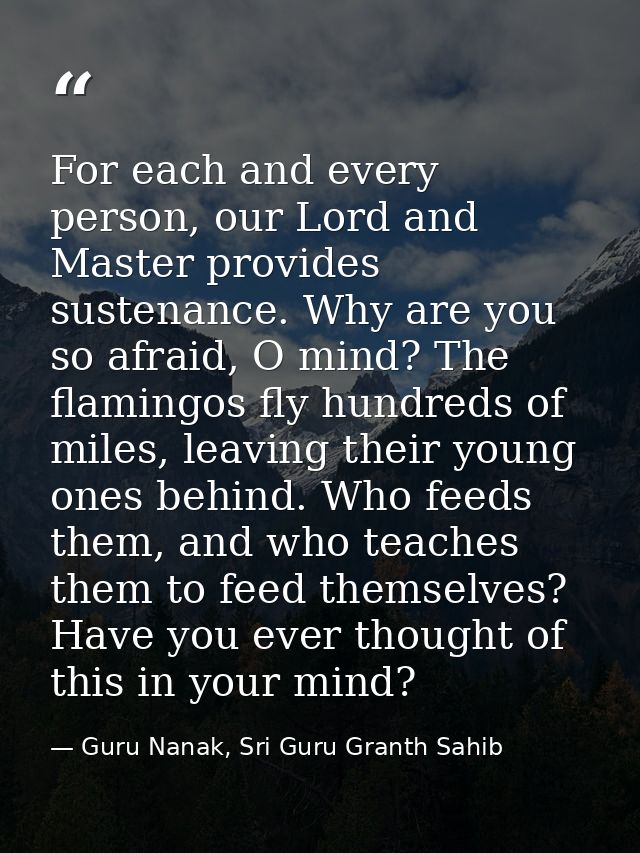 For each and every person, our Lord and Master provides sustenance. Why are you so afraid, O mind? The flamingos fly hun — Guru Nanak, Sri Guru Granth Sahib