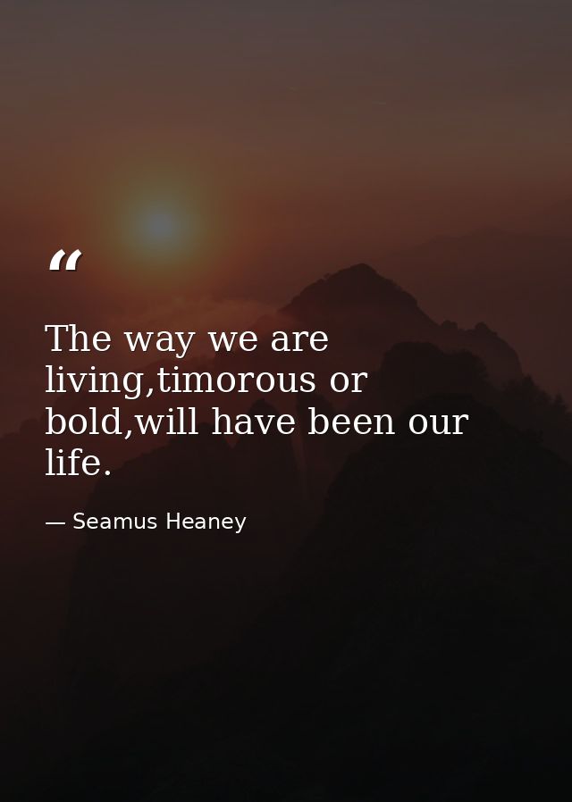 The way we are living,timorous or bold,will have been our life. — Seamus Heaney