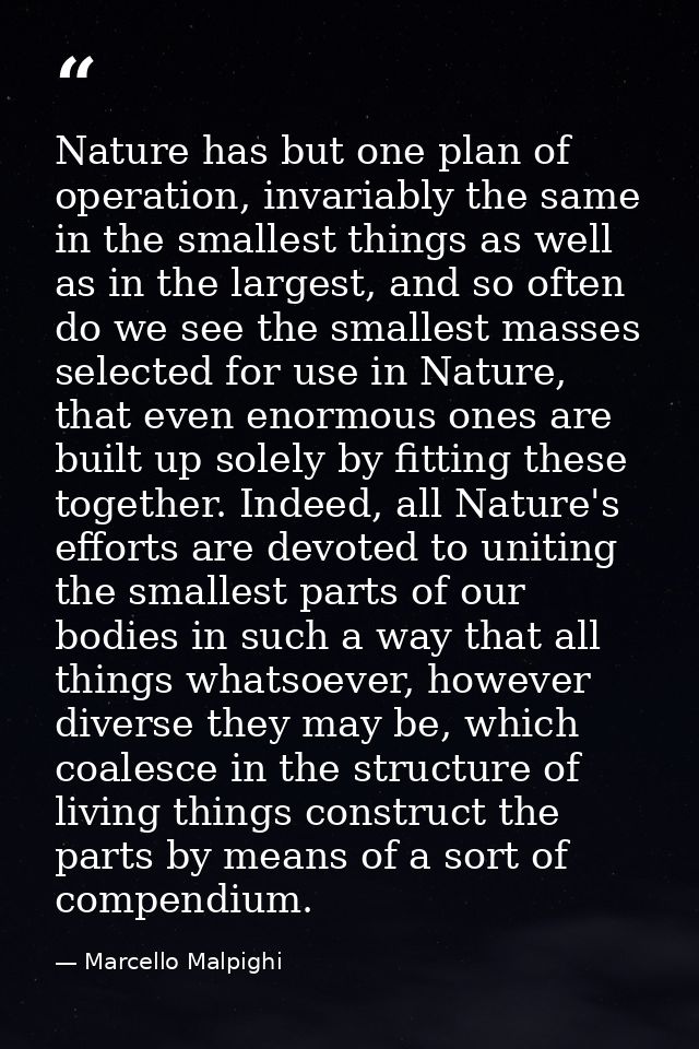 Nature has but one plan of operation, invariably the same in the smallest things as well as in the largest, and so often — Marcello Malpighi