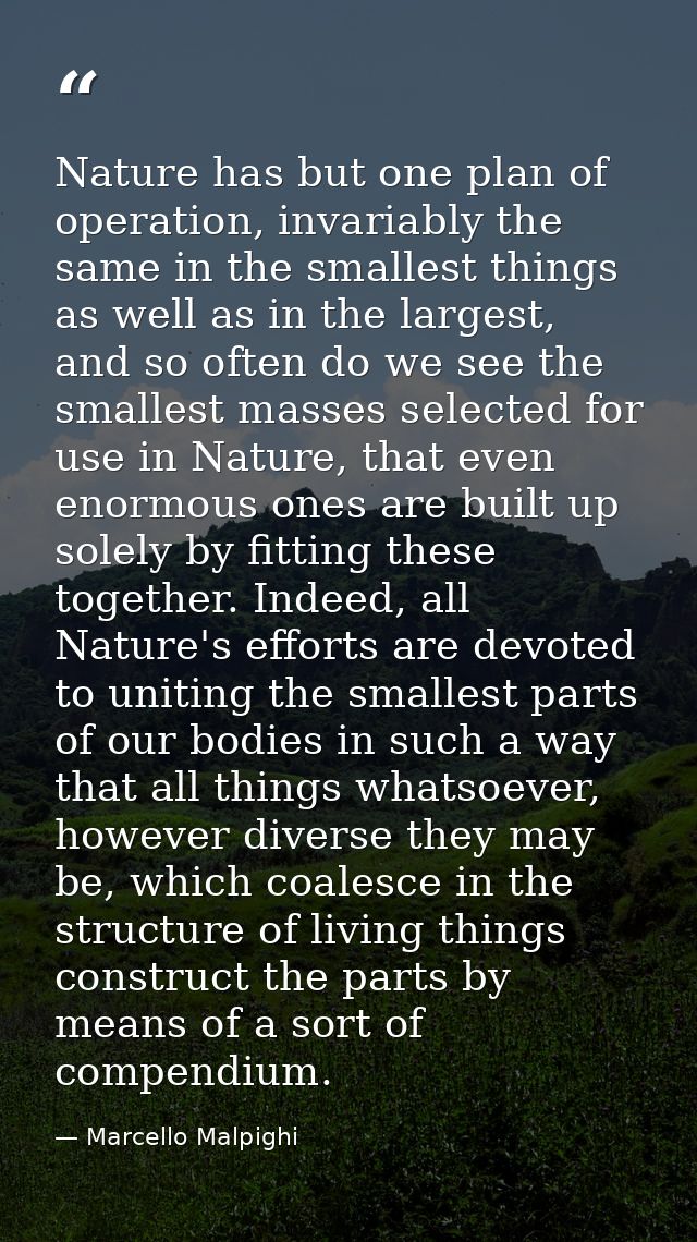 Nature has but one plan of operation, invariably the same in the smallest things as well as in the largest, and so often — Marcello Malpighi