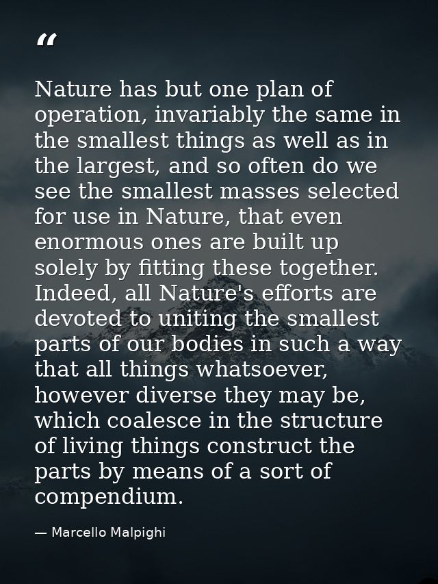 Nature has but one plan of operation, invariably the same in the smallest things as well as in the largest, and so often — Marcello Malpighi