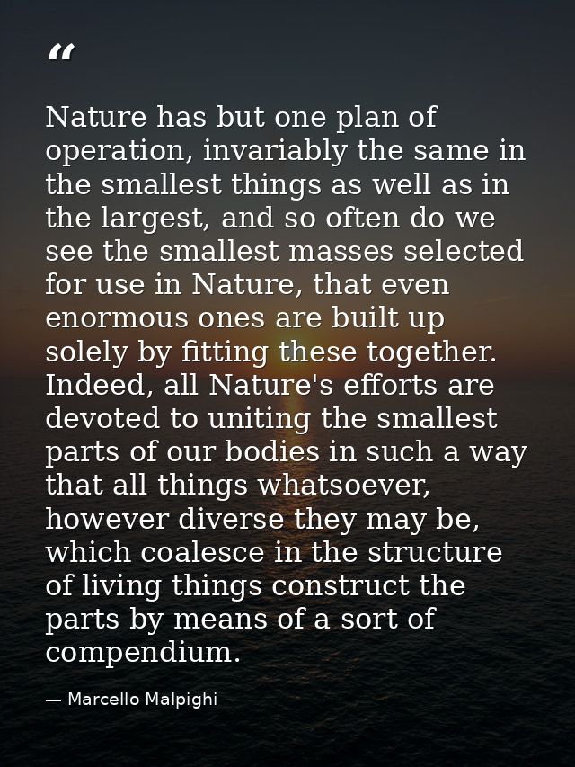 Nature has but one plan of operation, invariably the same in the smallest things as well as in the largest, and so often — Marcello Malpighi