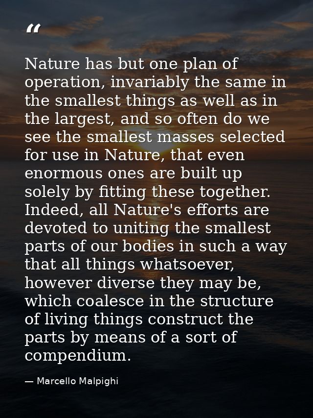 Nature has but one plan of operation, invariably the same in the smallest things as well as in the largest, and so often — Marcello Malpighi