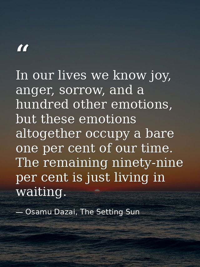 In our lives we know joy, anger, sorrow, and a hundred other emotions, but these emotions altogether occupy a bare one p — Osamu Dazai, The Setting Sun