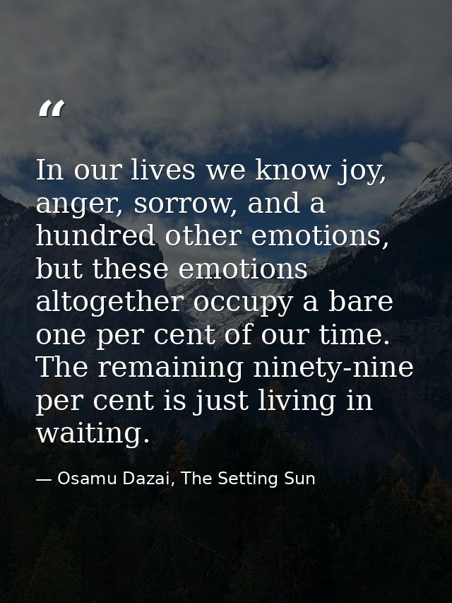 In our lives we know joy, anger, sorrow, and a hundred other emotions, but these emotions altogether occupy a bare one p — Osamu Dazai, The Setting Sun