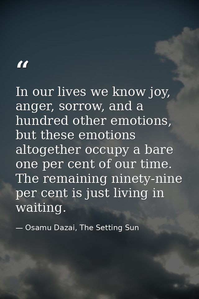 In our lives we know joy, anger, sorrow, and a hundred other emotions, but these emotions altogether occupy a bare one p — Osamu Dazai, The Setting Sun