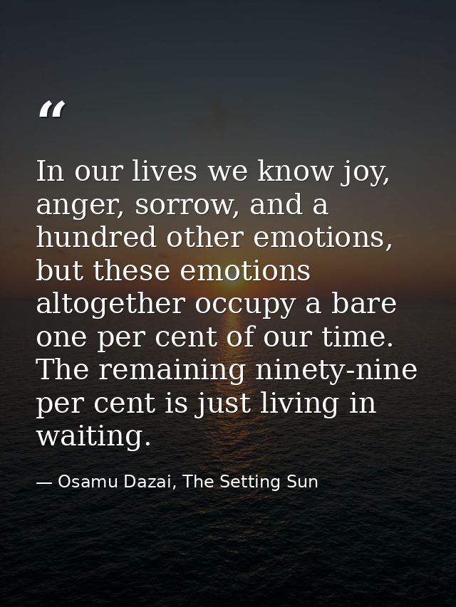 In our lives we know joy, anger, sorrow, and a hundred other emotions, but these emotions altogether occupy a bare one p — Osamu Dazai, The Setting Sun