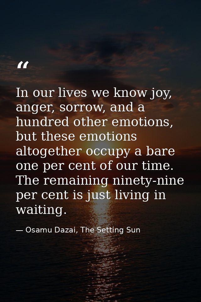 In our lives we know joy, anger, sorrow, and a hundred other emotions, but these emotions altogether occupy a bare one p — Osamu Dazai, The Setting Sun