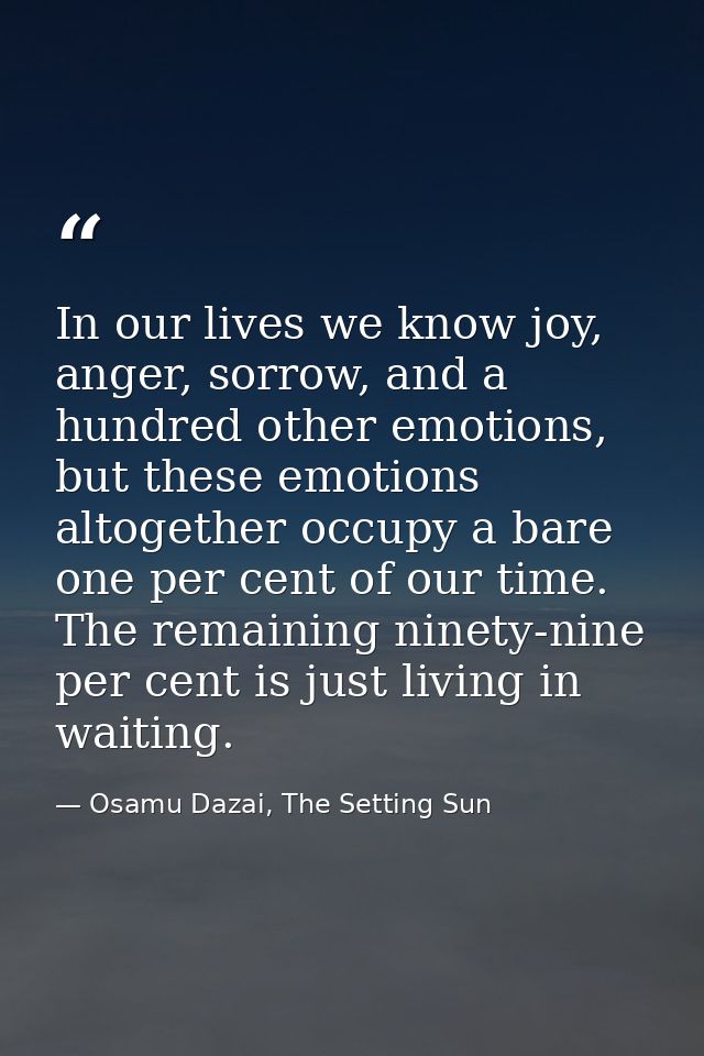 In our lives we know joy, anger, sorrow, and a hundred other emotions, but these emotions altogether occupy a bare one p — Osamu Dazai, The Setting Sun