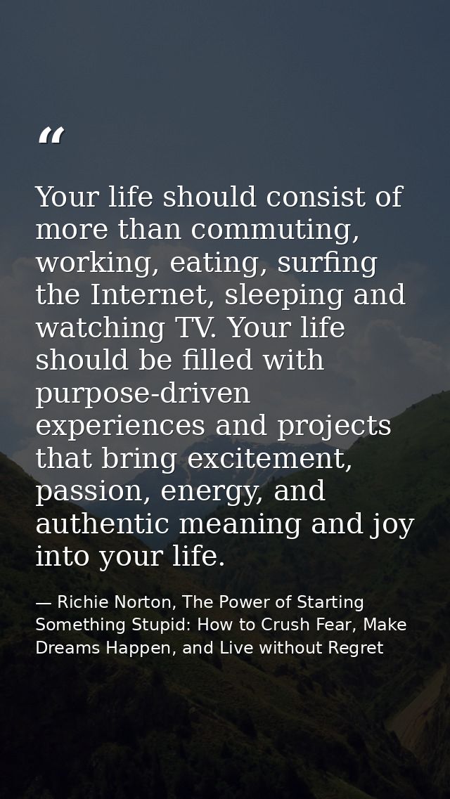 Your life should consist of more than commuting, working, eating, surfing the Internet, sleeping and watching TV. Your l — Richie Norton, The Power of Starting Something Stupid: How to Crush Fear, Make Dreams Happen, and Live without Regret