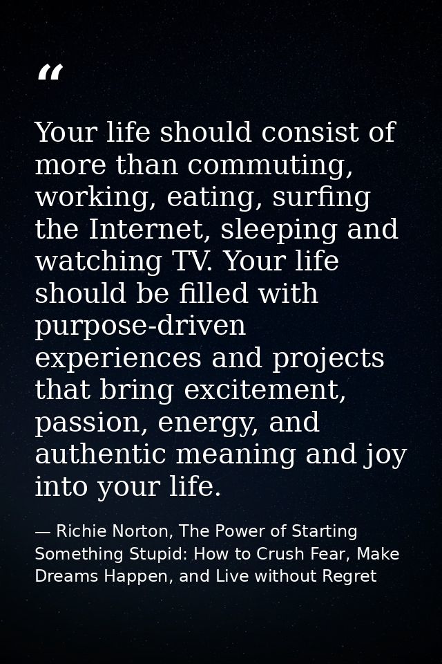 Your life should consist of more than commuting, working, eating, surfing the Internet, sleeping and watching TV. Your l — Richie Norton, The Power of Starting Something Stupid: How to Crush Fear, Make Dreams Happen, and Live without Regret