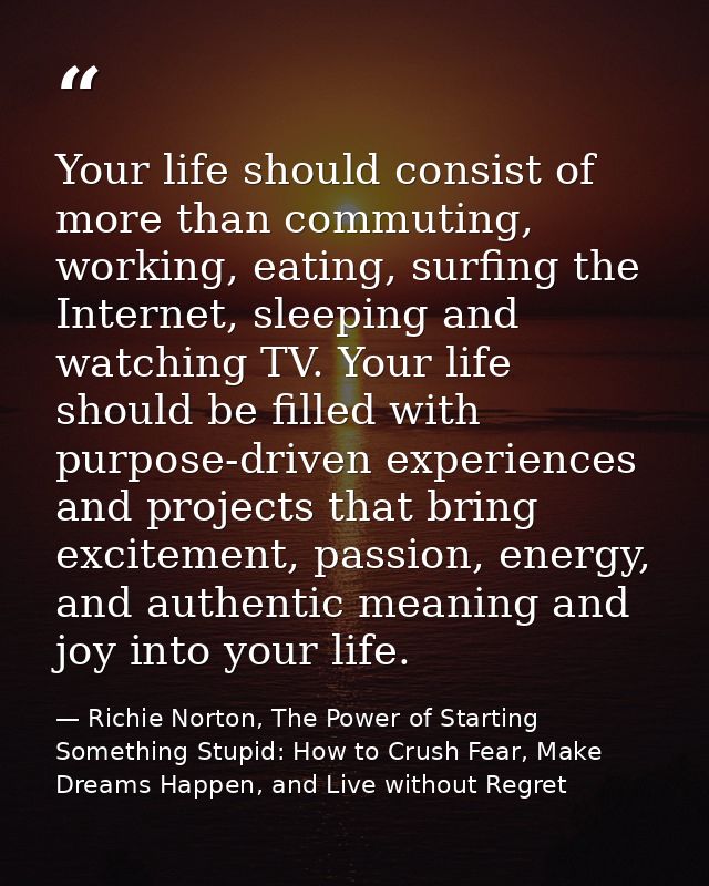 Your life should consist of more than commuting, working, eating, surfing the Internet, sleeping and watching TV. Your l — Richie Norton, The Power of Starting Something Stupid: How to Crush Fear, Make Dreams Happen, and Live without Regret
