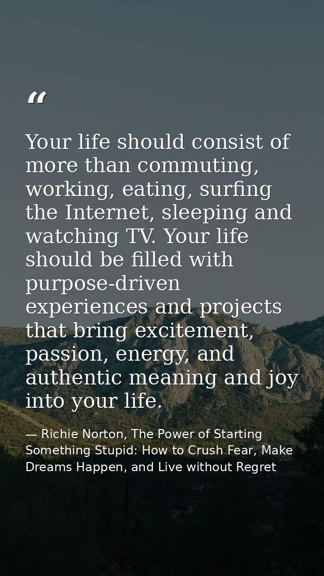Your life should consist of more than commuting, working, eating, surfing the Internet, sleeping and watching TV. Your l — Richie Norton, The Power of Starting Something Stupid: How to Crush Fear, Make Dreams Happen, and Live without Regret