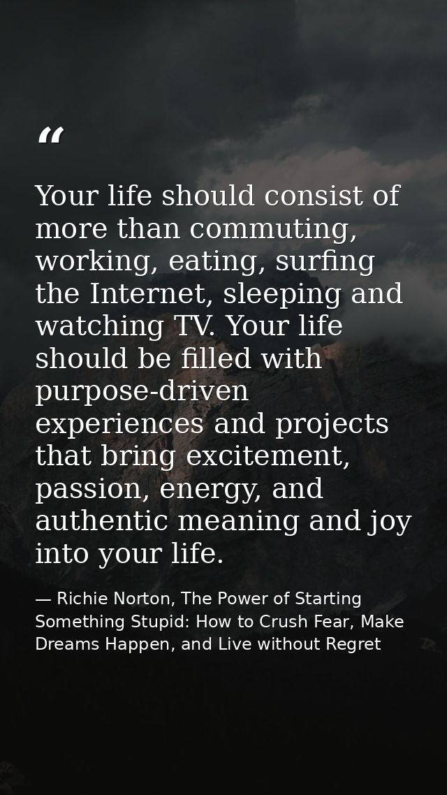 Your life should consist of more than commuting, working, eating, surfing the Internet, sleeping and watching TV. Your l — Richie Norton, The Power of Starting Something Stupid: How to Crush Fear, Make Dreams Happen, and Live without Regret