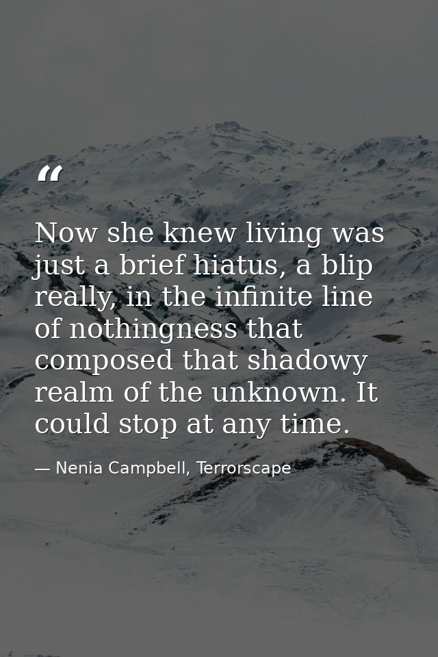Now she knew living was just a brief hiatus, a blip really, in the infinite line of nothingness that composed that shado — Nenia Campbell, Terrorscape