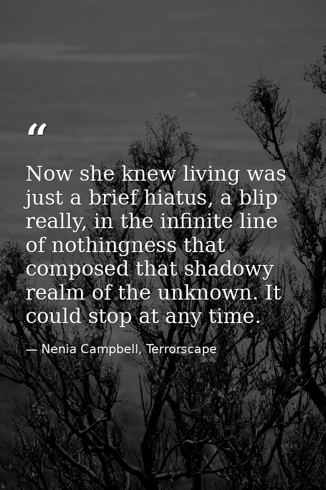 Now she knew living was just a brief hiatus, a blip really, in the infinite line of nothingness that composed that shado — Nenia Campbell, Terrorscape