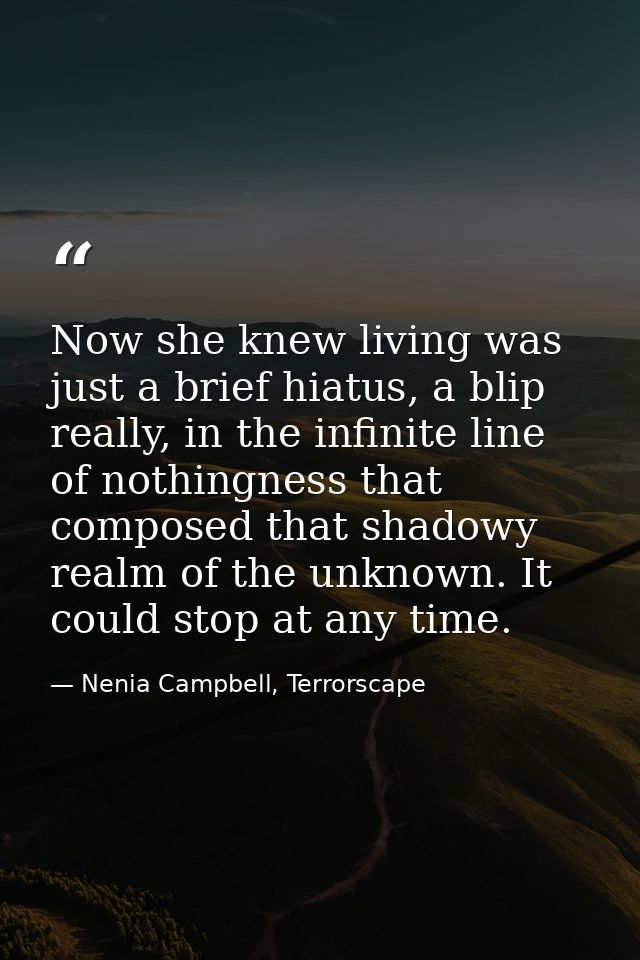 Now she knew living was just a brief hiatus, a blip really, in the infinite line of nothingness that composed that shado — Nenia Campbell, Terrorscape