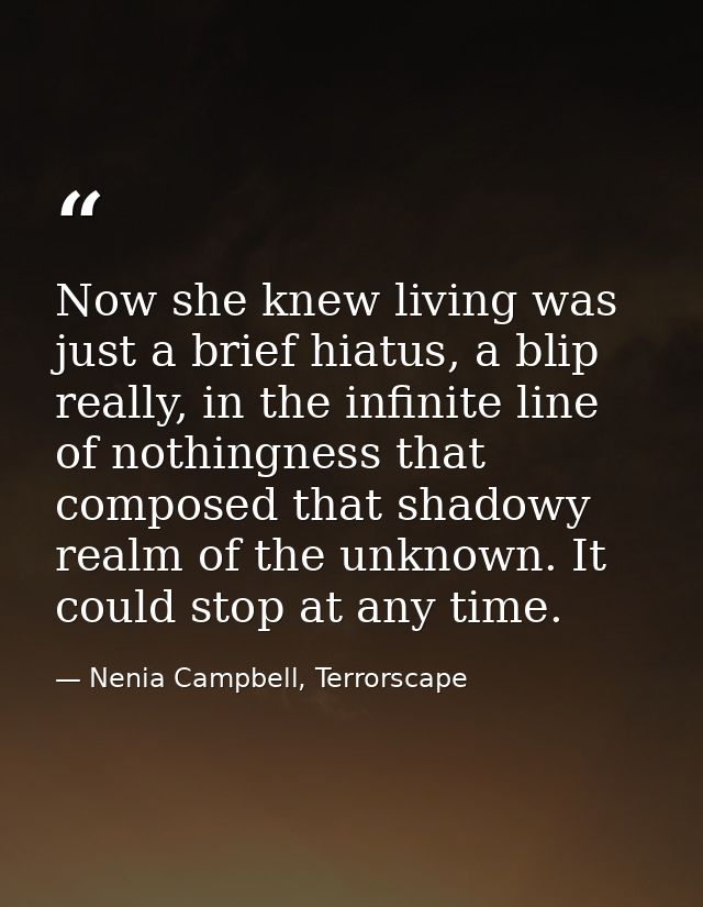 Now she knew living was just a brief hiatus, a blip really, in the infinite line of nothingness that composed that shado — Nenia Campbell, Terrorscape