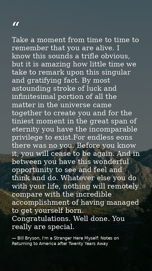 Take a moment from time to time to remember that you are alive. I know this sounds a trifle obvious, but it is amazing h — Bill Bryson, I'm a Stranger Here Myself: Notes on Returning to America after Twenty Years Away