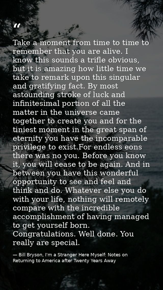 Take a moment from time to time to remember that you are alive. I know this sounds a trifle obvious, but it is amazing h — Bill Bryson, I'm a Stranger Here Myself: Notes on Returning to America after Twenty Years Away