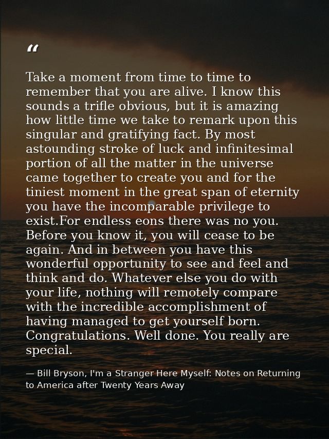 Take a moment from time to time to remember that you are alive. I know this sounds a trifle obvious, but it is amazing h — Bill Bryson, I'm a Stranger Here Myself: Notes on Returning to America after Twenty Years Away
