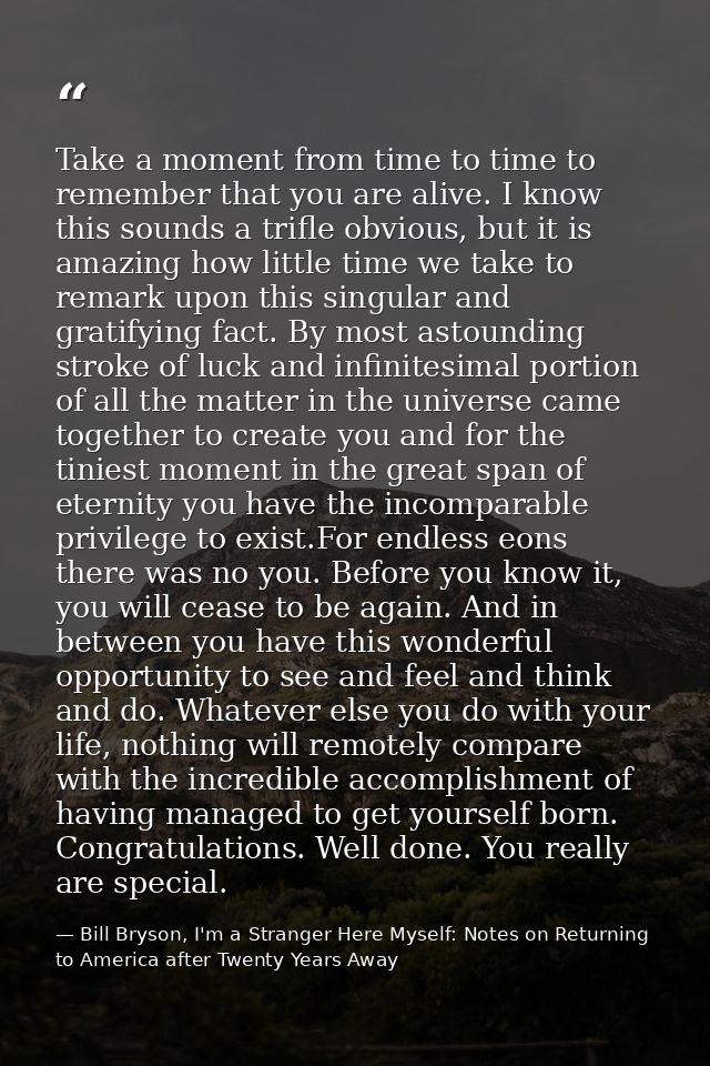 Take a moment from time to time to remember that you are alive. I know this sounds a trifle obvious, but it is amazing h — Bill Bryson, I'm a Stranger Here Myself: Notes on Returning to America after Twenty Years Away