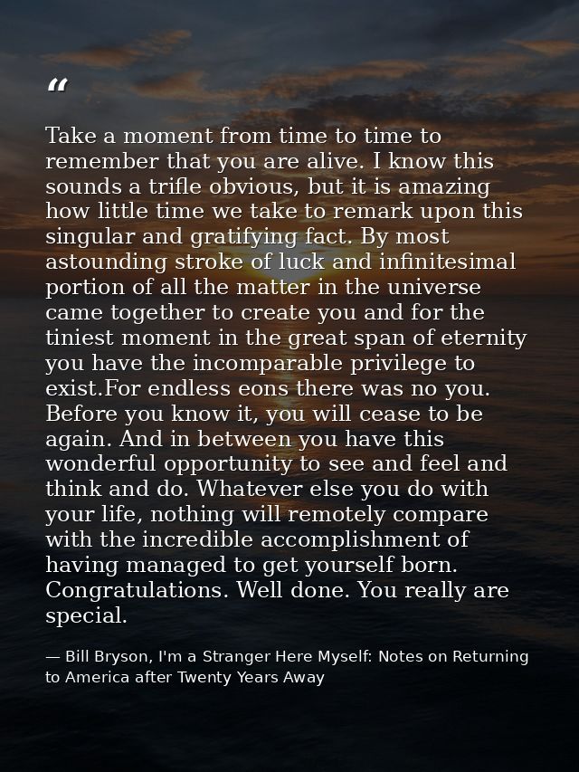 Take a moment from time to time to remember that you are alive. I know this sounds a trifle obvious, but it is amazing h — Bill Bryson, I'm a Stranger Here Myself: Notes on Returning to America after Twenty Years Away