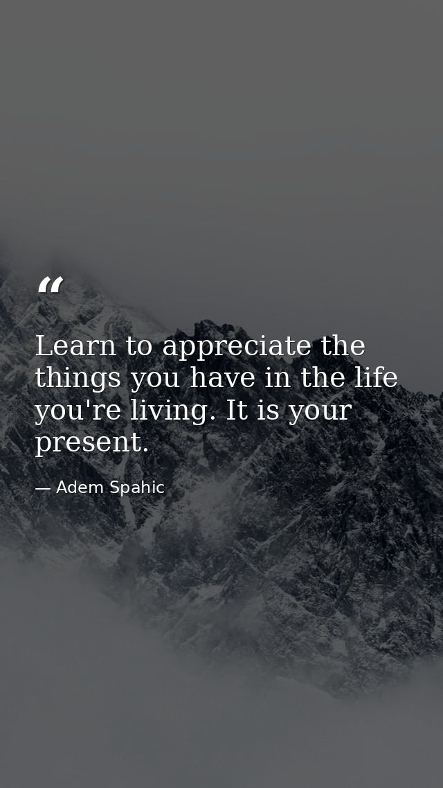 Learn to appreciate the things you have in the life you're living. It is your present. — Adem Spahic