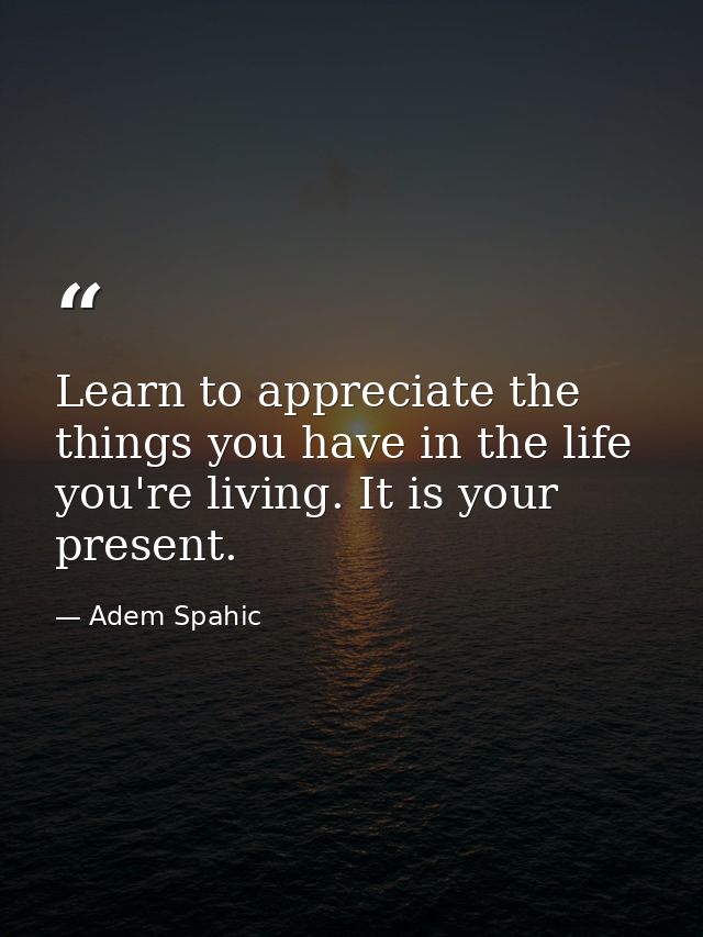 Learn to appreciate the things you have in the life you're living. It is your present. — Adem Spahic