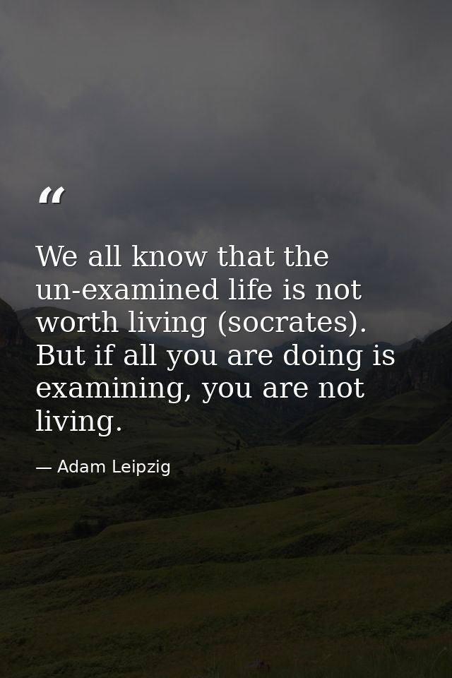 We all know that the un-examined life is not worth living (socrates). But if all you are doing is examining, you are not — Adam Leipzig