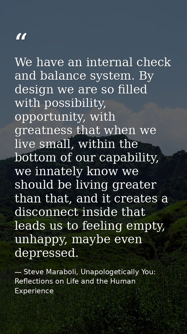 We have an internal check and balance system. By design we are so filled with possibility, opportunity, with greatness t — Steve Maraboli, Unapologetically You: Reflections on Life and the Human Experience