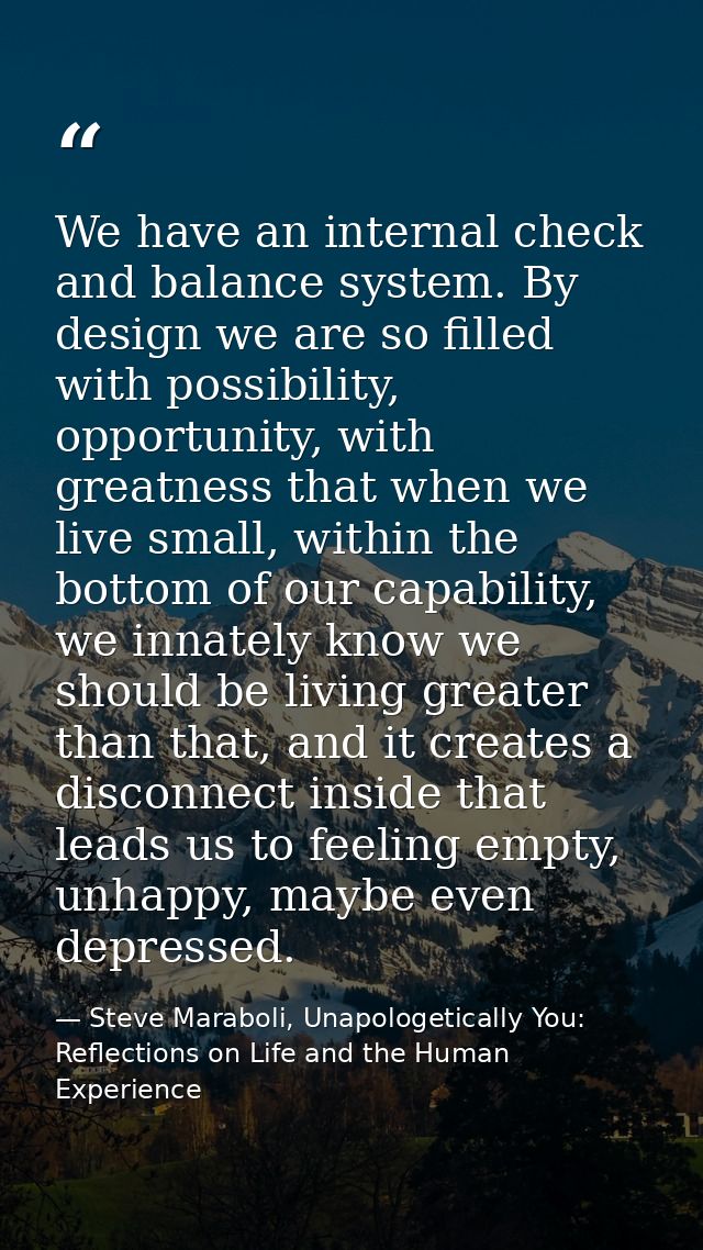 We have an internal check and balance system. By design we are so filled with possibility, opportunity, with greatness t — Steve Maraboli, Unapologetically You: Reflections on Life and the Human Experience