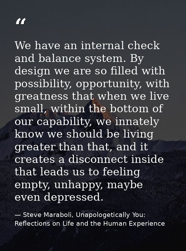 We have an internal check and balance system. By design we are so filled with possibility, opportunity, with greatness t — Steve Maraboli, Unapologetically You: Reflections on Life and the Human Experience