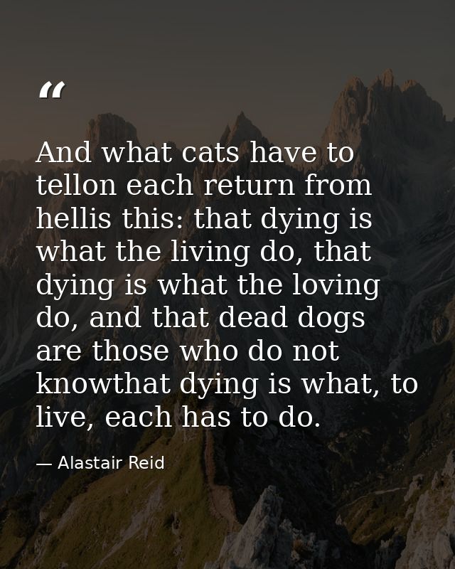 And what cats have to tellon each return from hellis this: that dying is what the living do, that dying is what the lovi — Alastair Reid