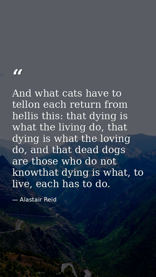 And what cats have to tellon each return from hellis this: that dying is what the living do, that dying is what the lovi — Alastair Reid
