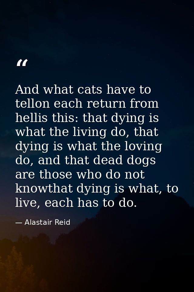 And what cats have to tellon each return from hellis this: that dying is what the living do, that dying is what the lovi — Alastair Reid