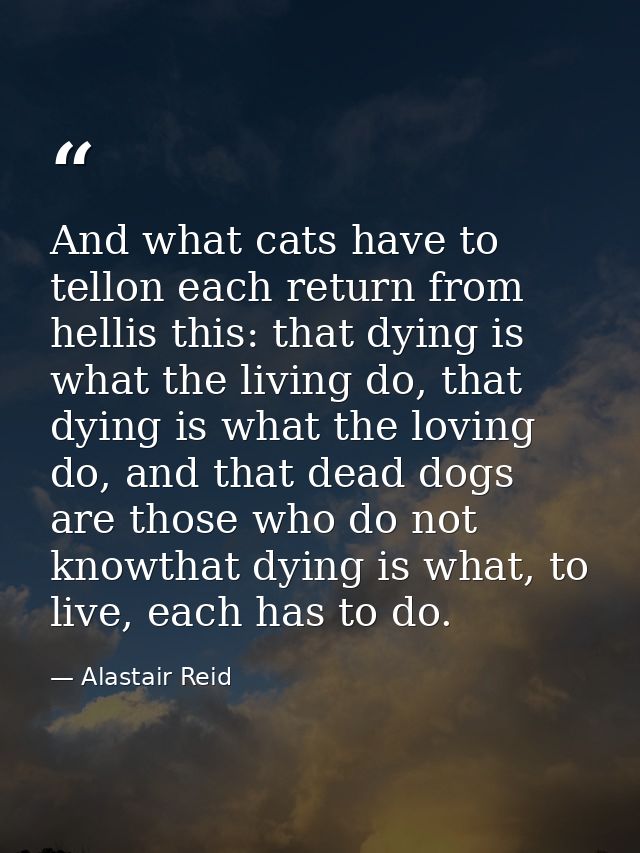 And what cats have to tellon each return from hellis this: that dying is what the living do, that dying is what the lovi — Alastair Reid