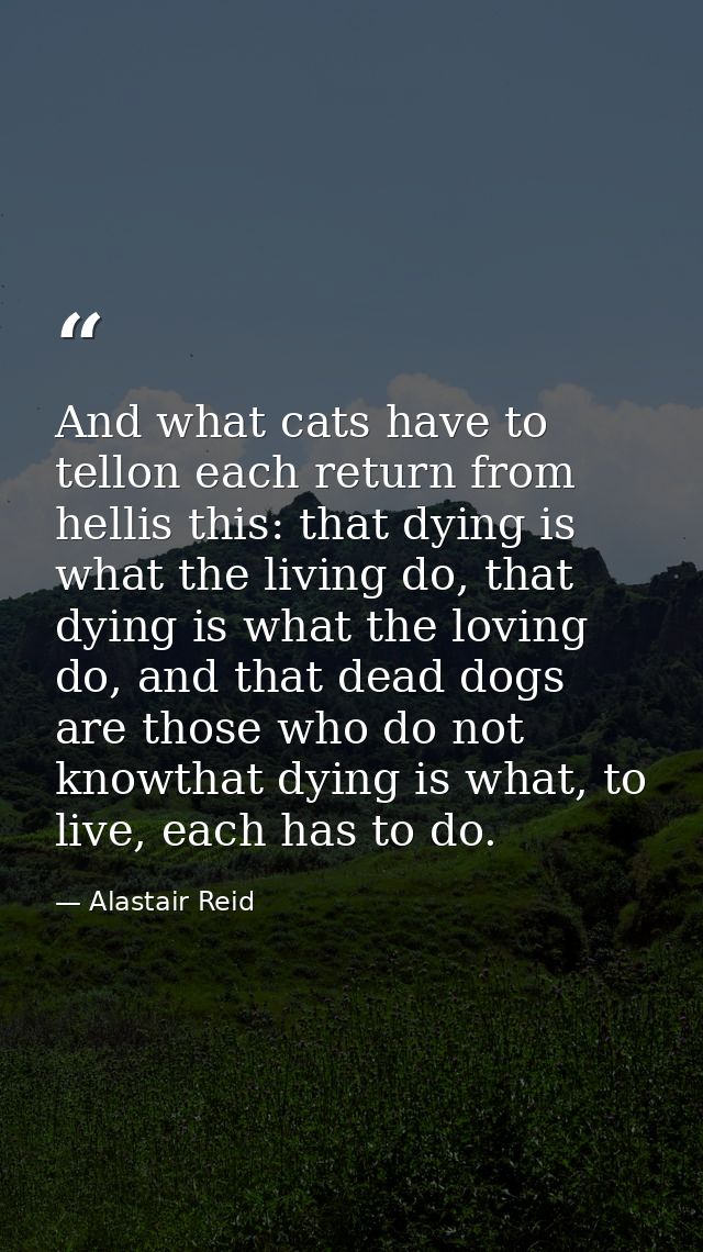 And what cats have to tellon each return from hellis this: that dying is what the living do, that dying is what the lovi — Alastair Reid