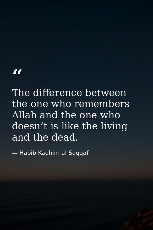 The difference between the one who remembers Allah and the one who doesn’t is like the living and the dead. — Habib Kadhim al-Saqqaf
